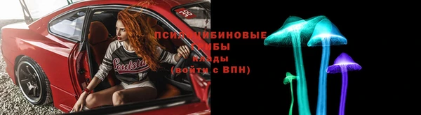 тгк Костерёво