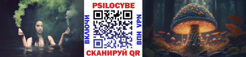 Псилоцибиновые грибы GOLDEN TEACHER Туринск