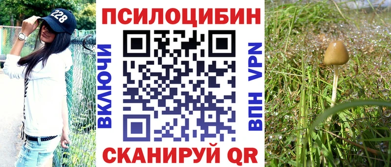Галлюциногенные грибы Cubensis  Купить закладки  Туринск 